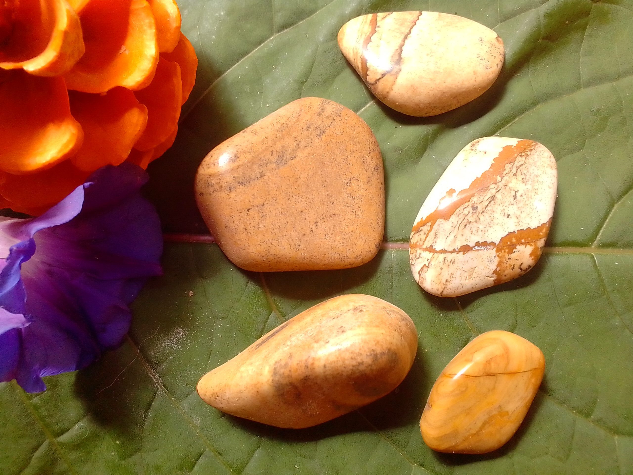 Picture jasper stone for sale