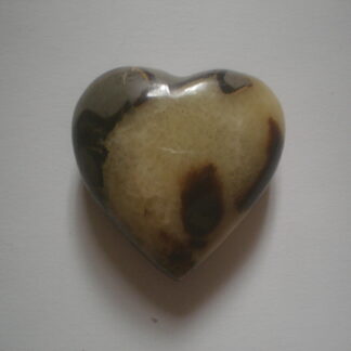 Buy septarian jasper