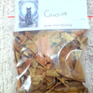 Dried guava leaves