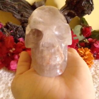Smokey quartz scull