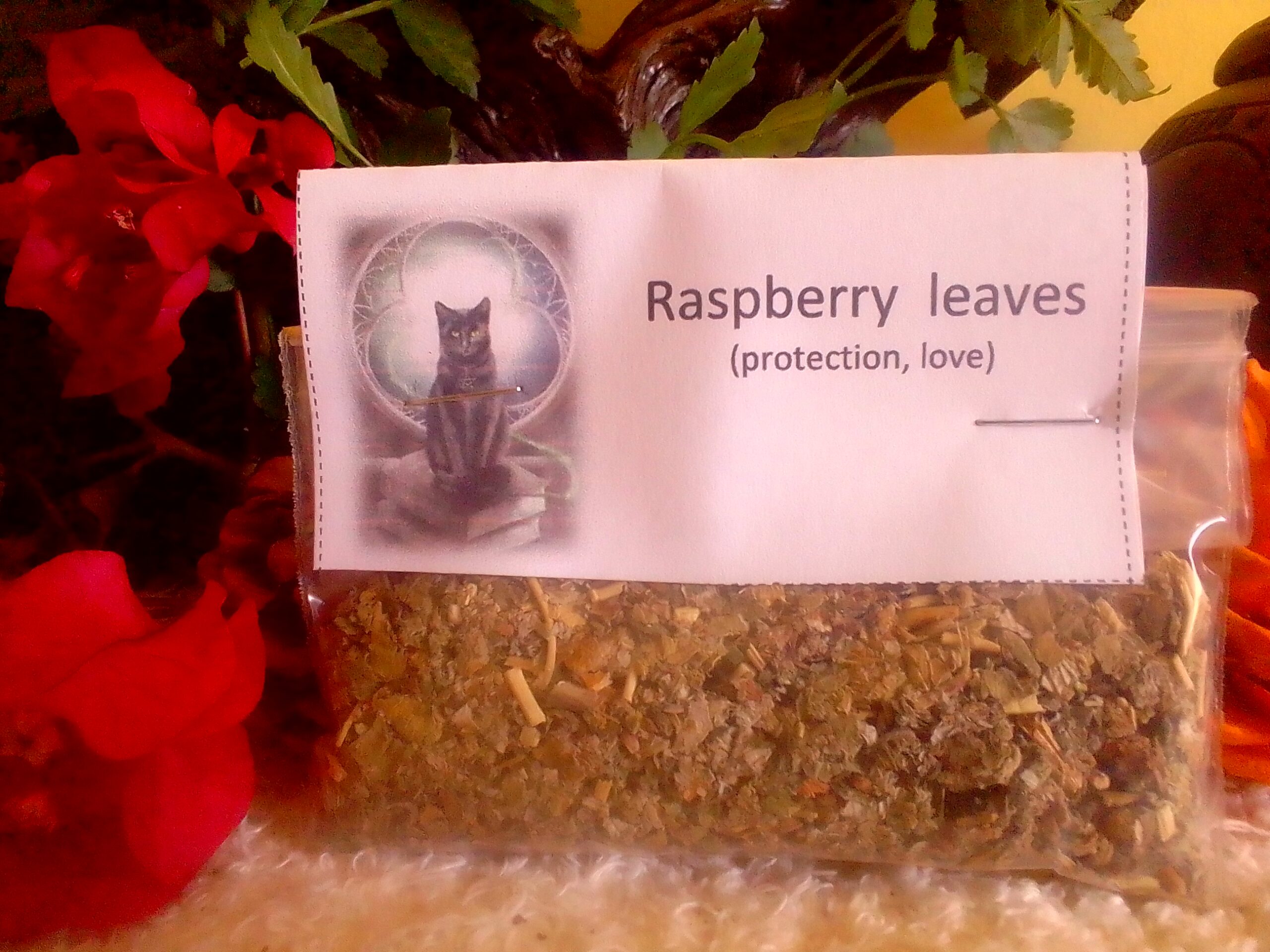 Red raspberry leaves