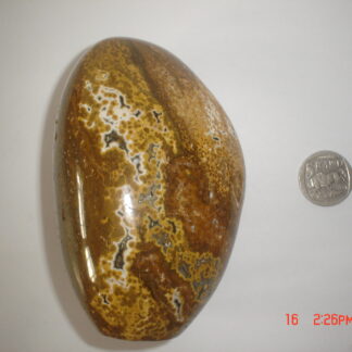 Ocean Jasper Free Form (SSP343)