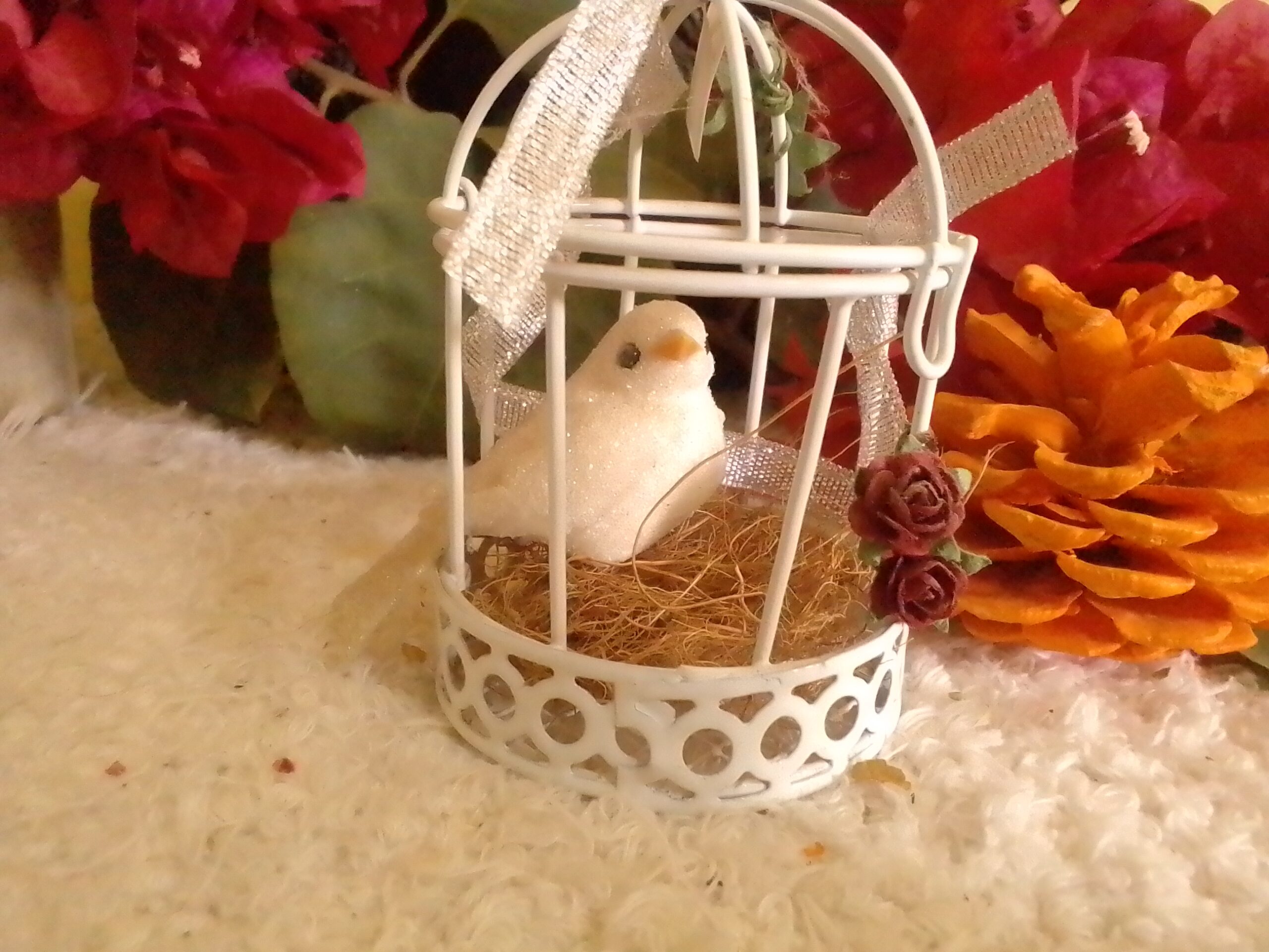 White bird in a cage decor