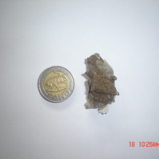 Specimen Stone (SPE51)