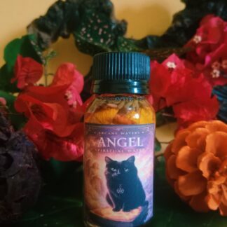 Angel Portugal water