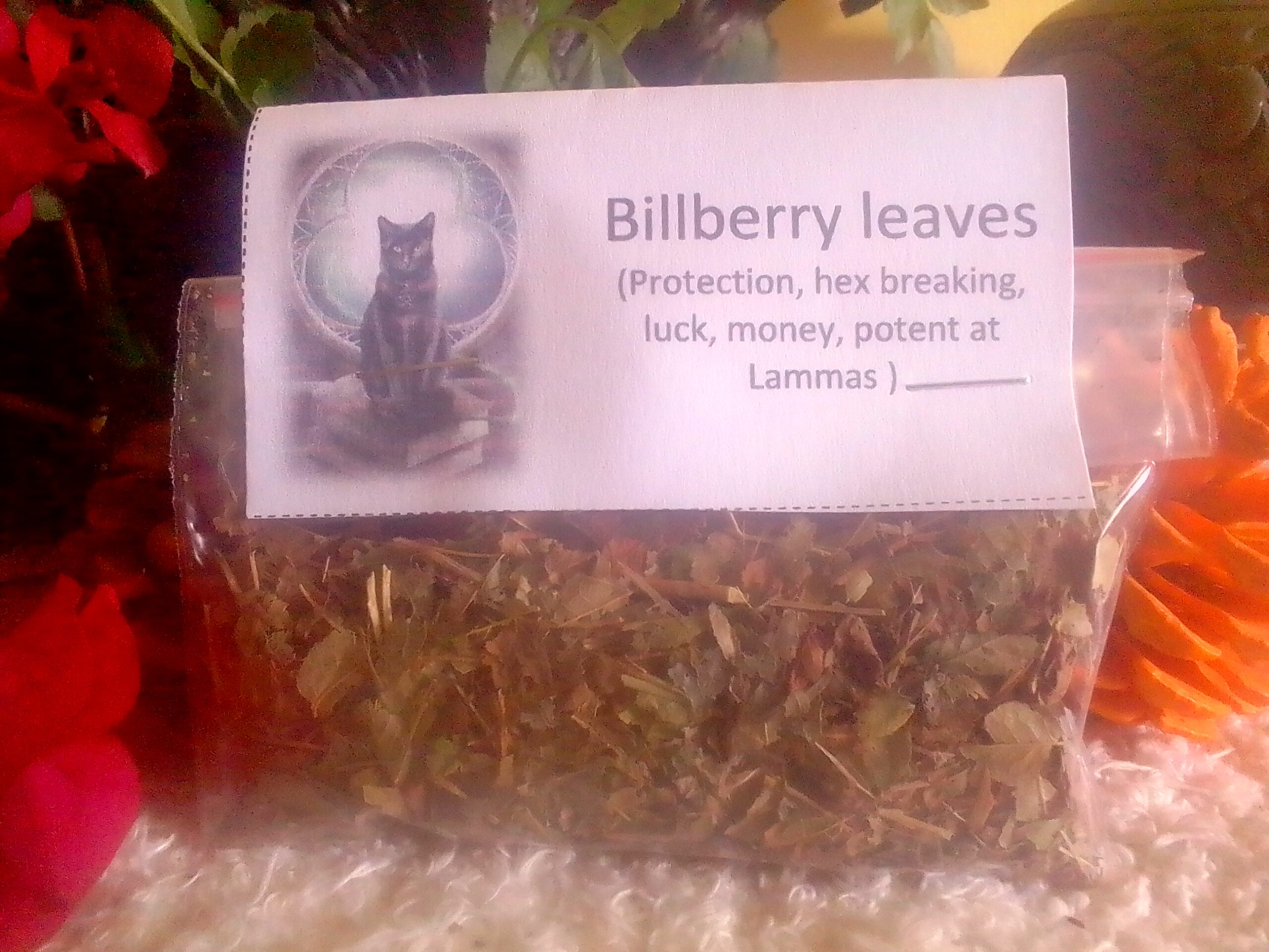 Buy Bilberry (Blue berry) leaves herb