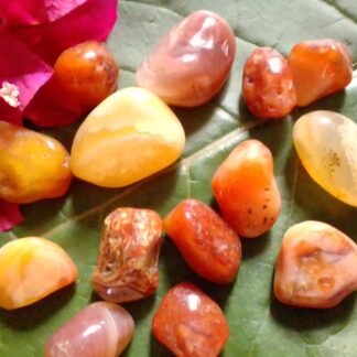 Carnelian polished stones