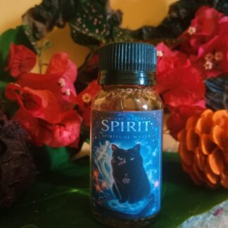 Bottle of Spirit Magical Spiritual Water
