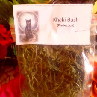 Khaki bush - kaki bos - khakibush