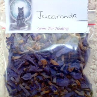 Purple jacaranda dried flowers