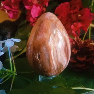 Petrified wood sales