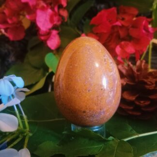 Orange brown ocean jasper egg