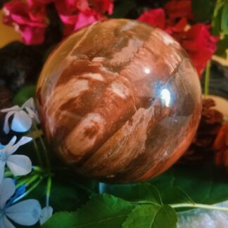 Petrified wood crystal