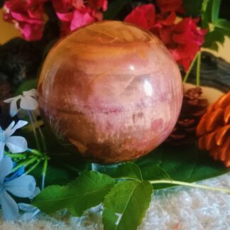 petrified wood stone sphere