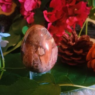 petrified wood egg for sale