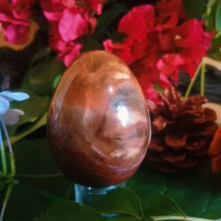 petrified wood crystal stone