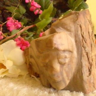 Petrified Wood Stone Face Carving for sale