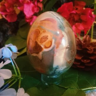 Savannah jasper egg