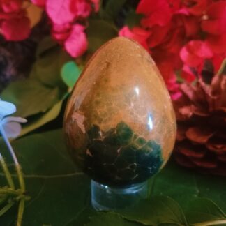 Multi color ocean jasper