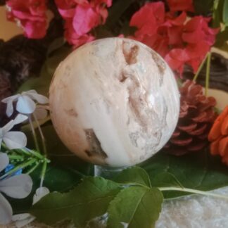 Madagascar ocean jasper