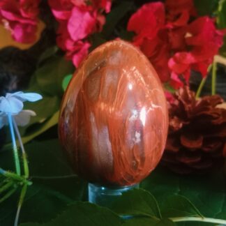 petrified agatized wood