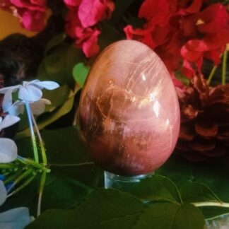 petrified wood sphere