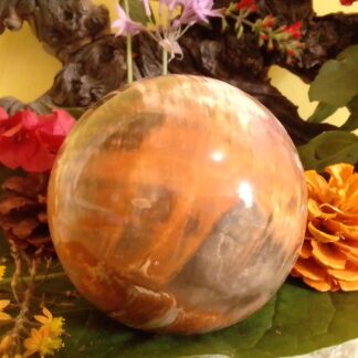 Petrified wood stone ball