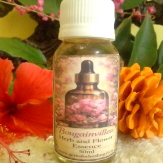 50ml Bougainvillea Herb and Flower Essence