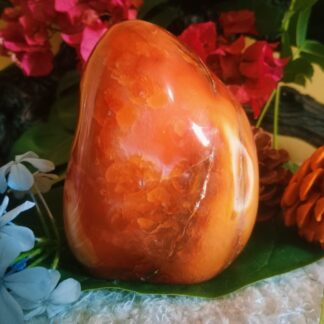 Carnelian free shape