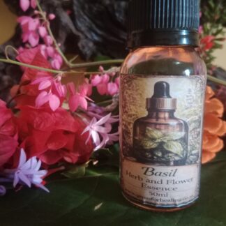 Buy Basil Herb and Flower Essence.