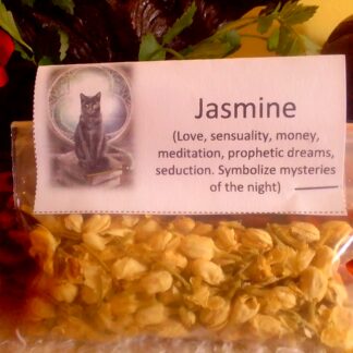 Dried jasmine flower herb