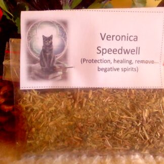 Veronica speedwell for sale