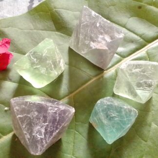 Medium sized fluorite octahedron pieces