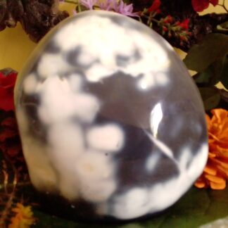 Black and white agate stone