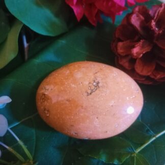 Palm sized sea jasper