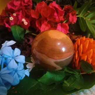 royal savannah jasper