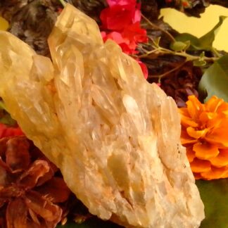 natural citrine cluster