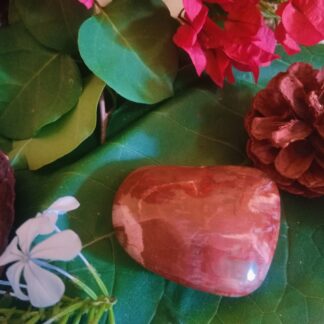 Free form petrified wood