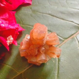 Aragonite specimens for sale