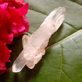 Barnacle soul crystal