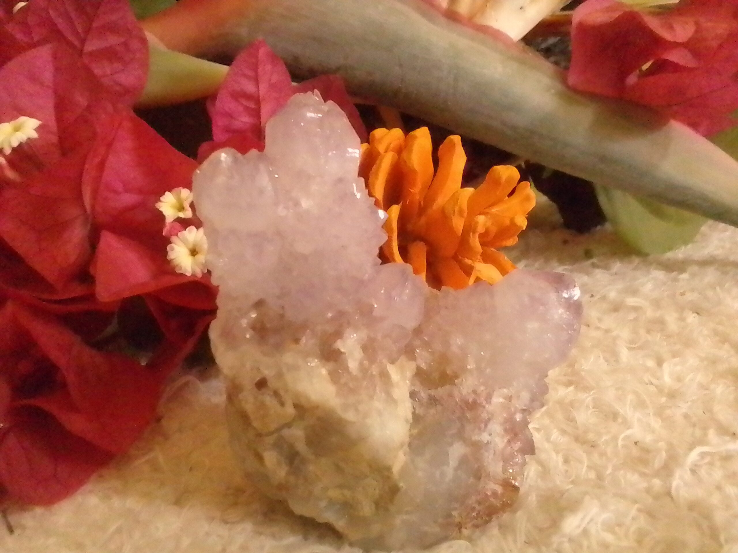 Cactus fairy quartz