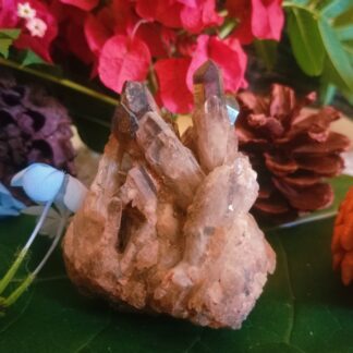 Smoky Quartz from the Congo