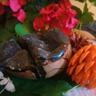 septarian jasper for sale