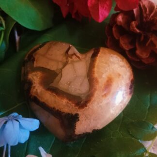 Dragonstone jasper heart