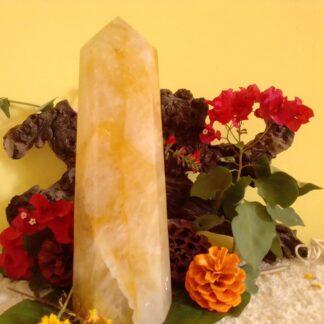 Large golden healer point