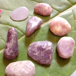 Lepidolite stones for sale