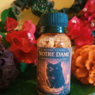 Notre dame water